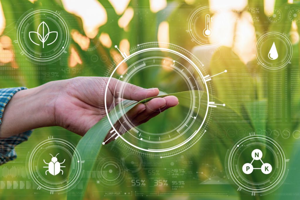 The Agroanalytics system